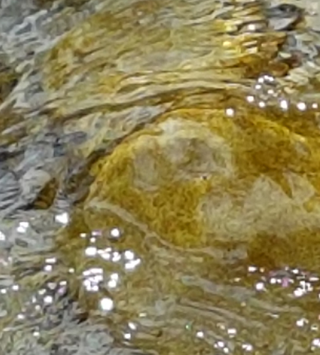 Photo of water flowing around a rock, symbolizing the smooth flow of work